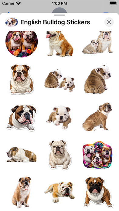 English Bulldog Stickers Screenshot