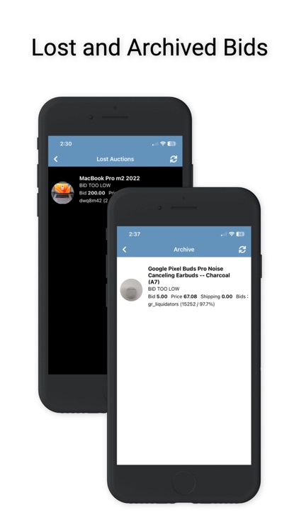 Bidnapper Auction Sniper