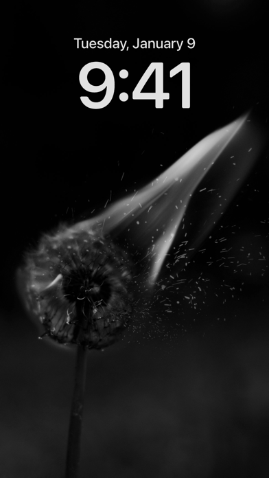 4K Black Wallpapers Screenshot