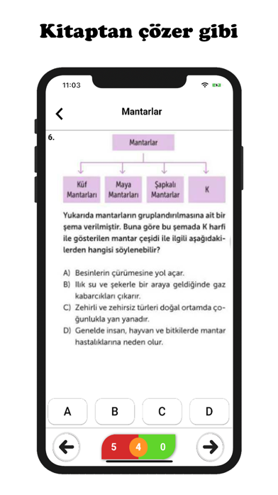 5.Sınıf Tüm Dersler Screenshot