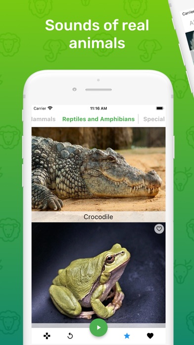 Guess Animal Sounds Screenshot