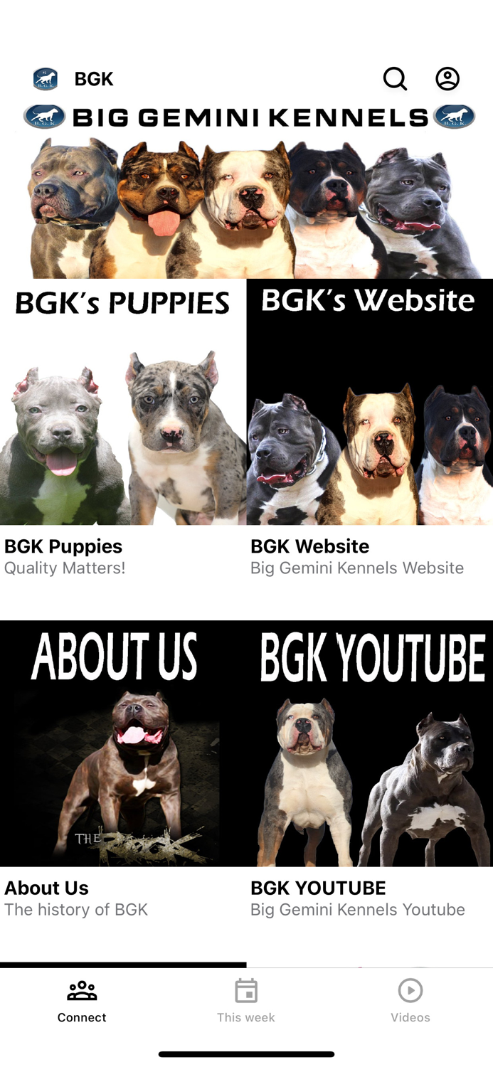 Big Gemini Kennels