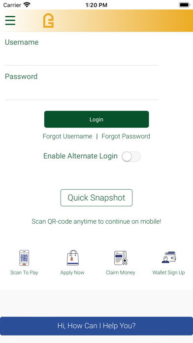 DGB iMobile Screenshot