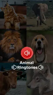 animal sounds ringtone iphone screenshot 1