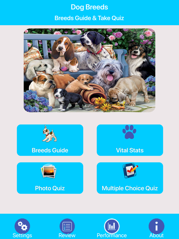 Screenshot #4 pour Dog Breeds Guide & Quiz