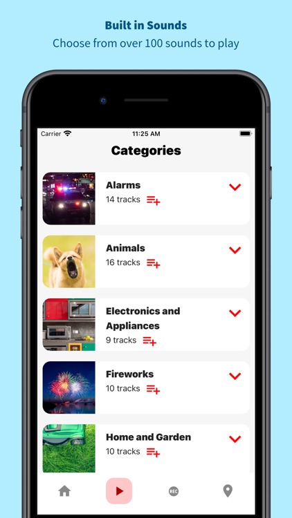 Sound School For Dogs