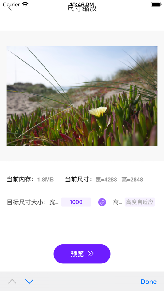 #3. 照片压缩-照片格式转换压缩软件 (iOS) 作者: 程鹏 洪