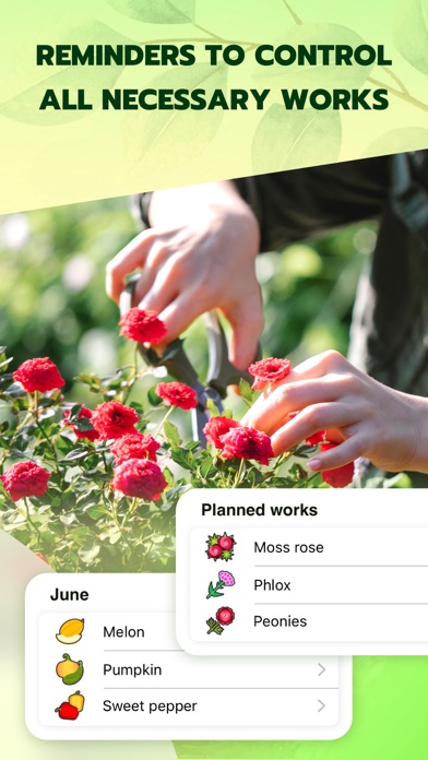 Garden Designer - Lawn Planner Screenshot