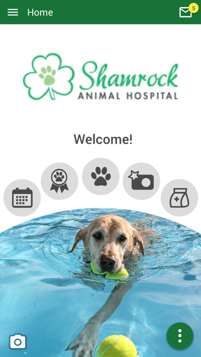 Shamrock Animal Hospital Screenshot