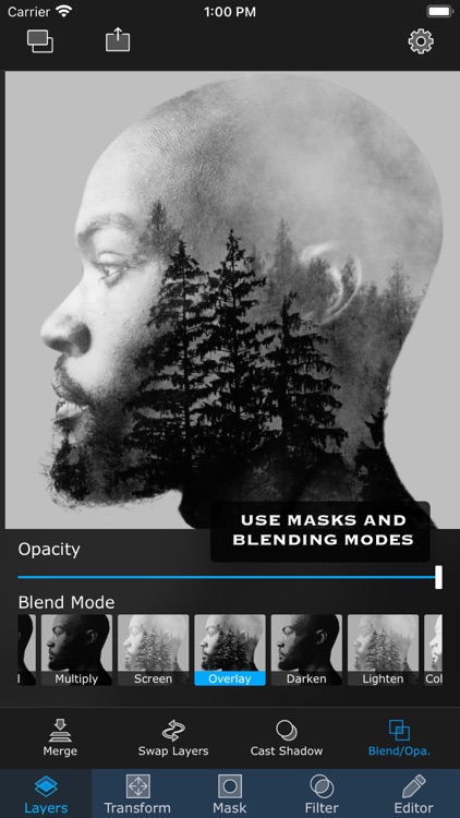 Superimpose screenshot-2