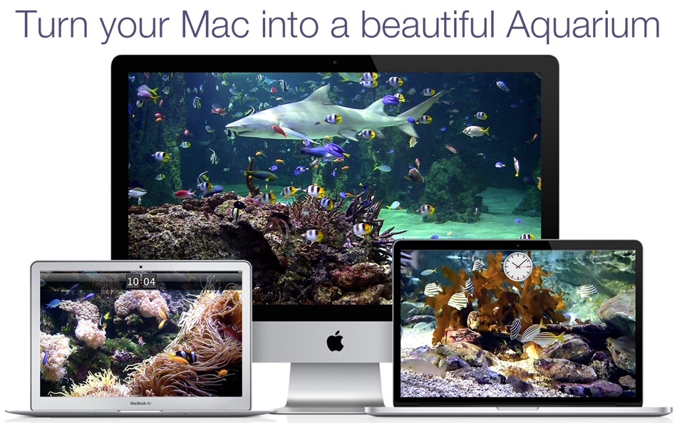 Aquarium Live HD screensaver - 3.6.0 - (macOS)