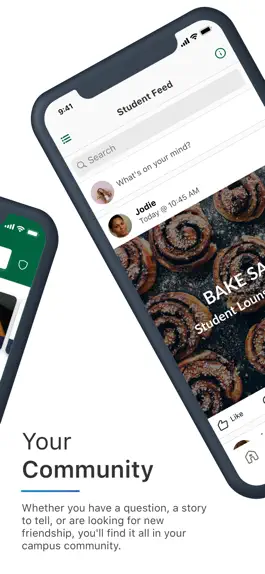 Game screenshot Essex County College hack