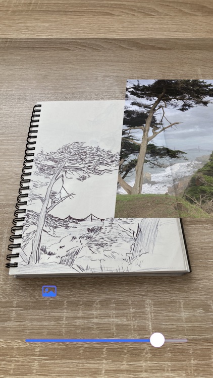 Parrot Paper screenshot-6