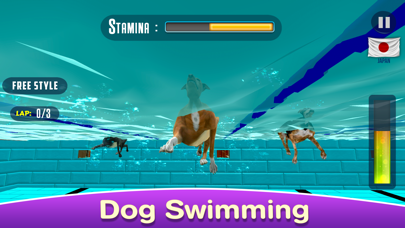 Dog Swimming Race Screenshot