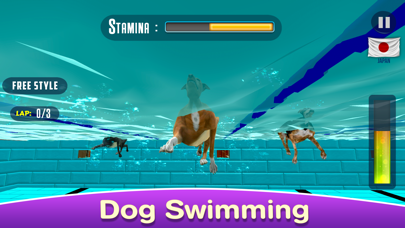 Dog Swimming Raceのおすすめ画像5