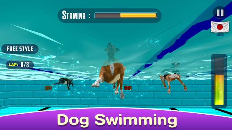 Dog Swimming Race screenshot-4