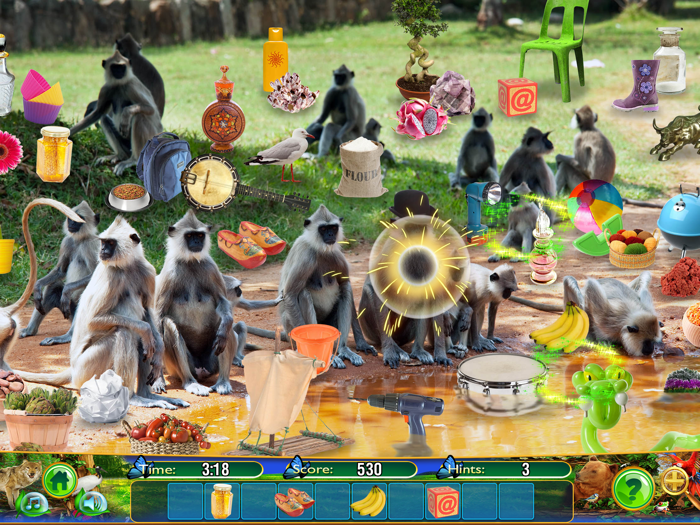 Hidden Objects Animal Kingdom