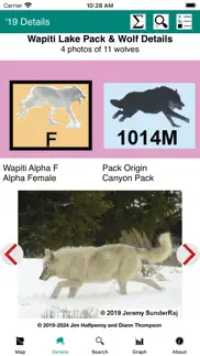 yellowstone wolves: the years iphone screenshot 2