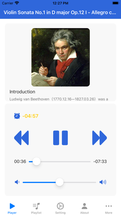 Beethoven Violin Sonata Screenshot