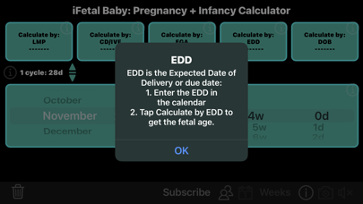 iFetal Baby Screenshot