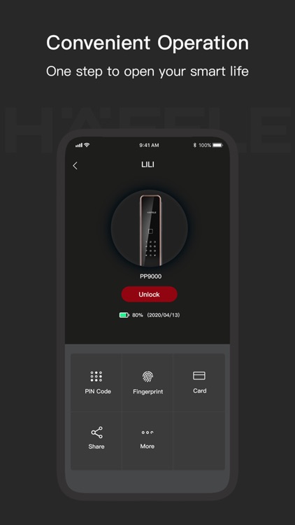 Hafele Smart Lock