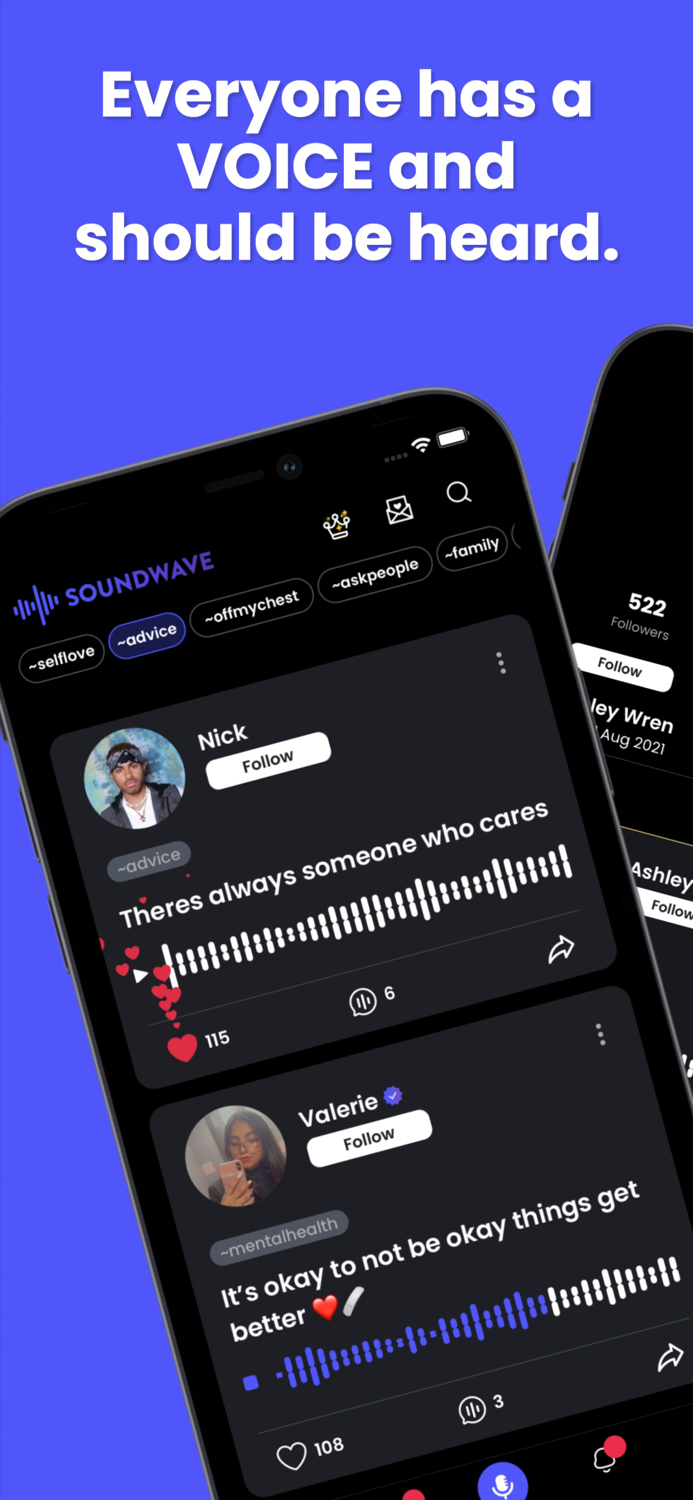 Soundwave Voice Your Feelings