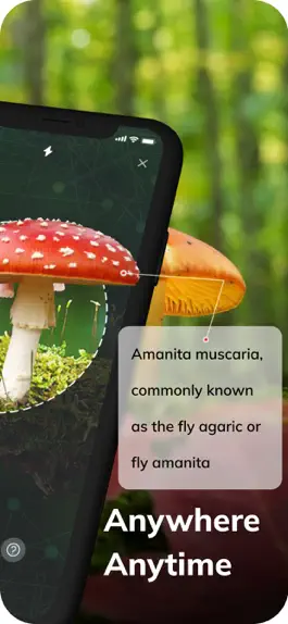 Game screenshot MushroomAI: Fungi ID & Guide apk