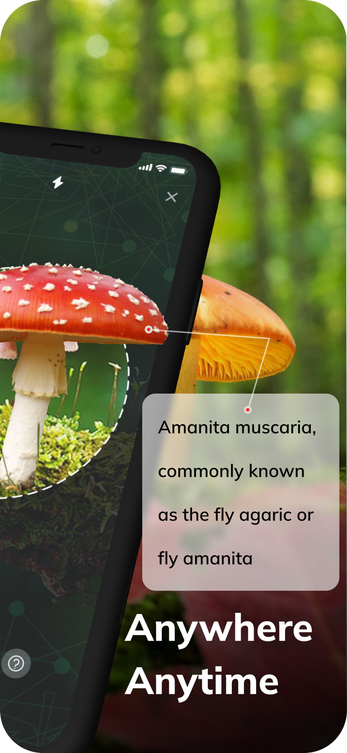 MushroomAI Fungi ID and Guide