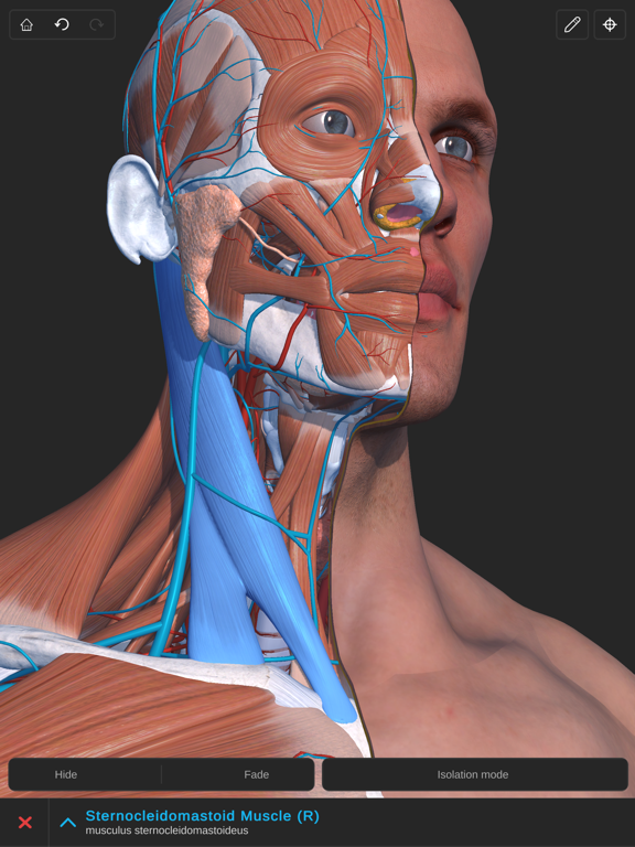 Screenshot #4 pour Visual Anatomy 3D - Human