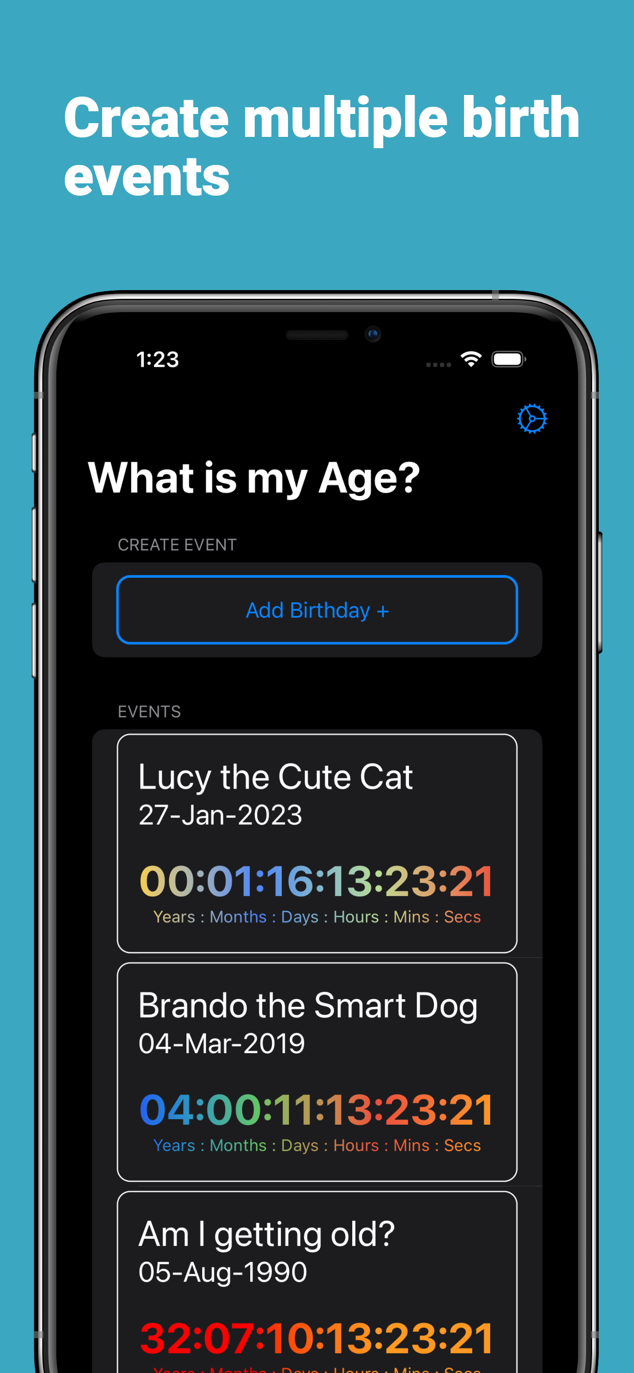 Age Countdown Widget