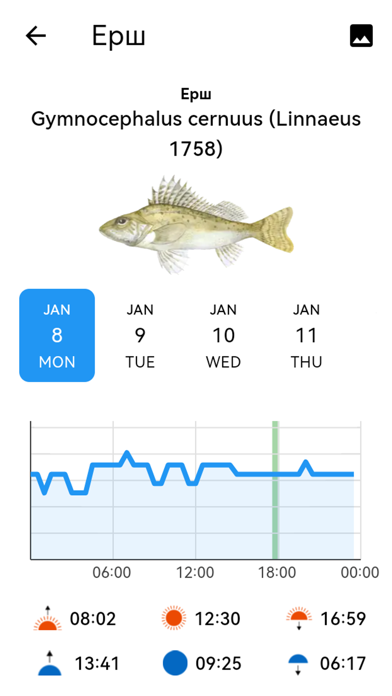 Fisherman's Watch Screenshot