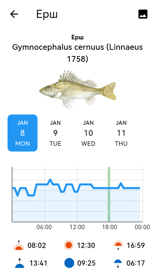 #6. Fisherman's Watch (iOS) 由: Web and Print