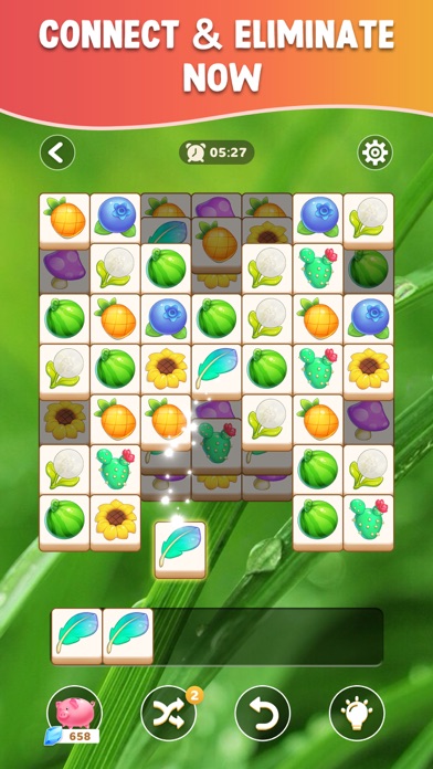 Nature Match Screenshot