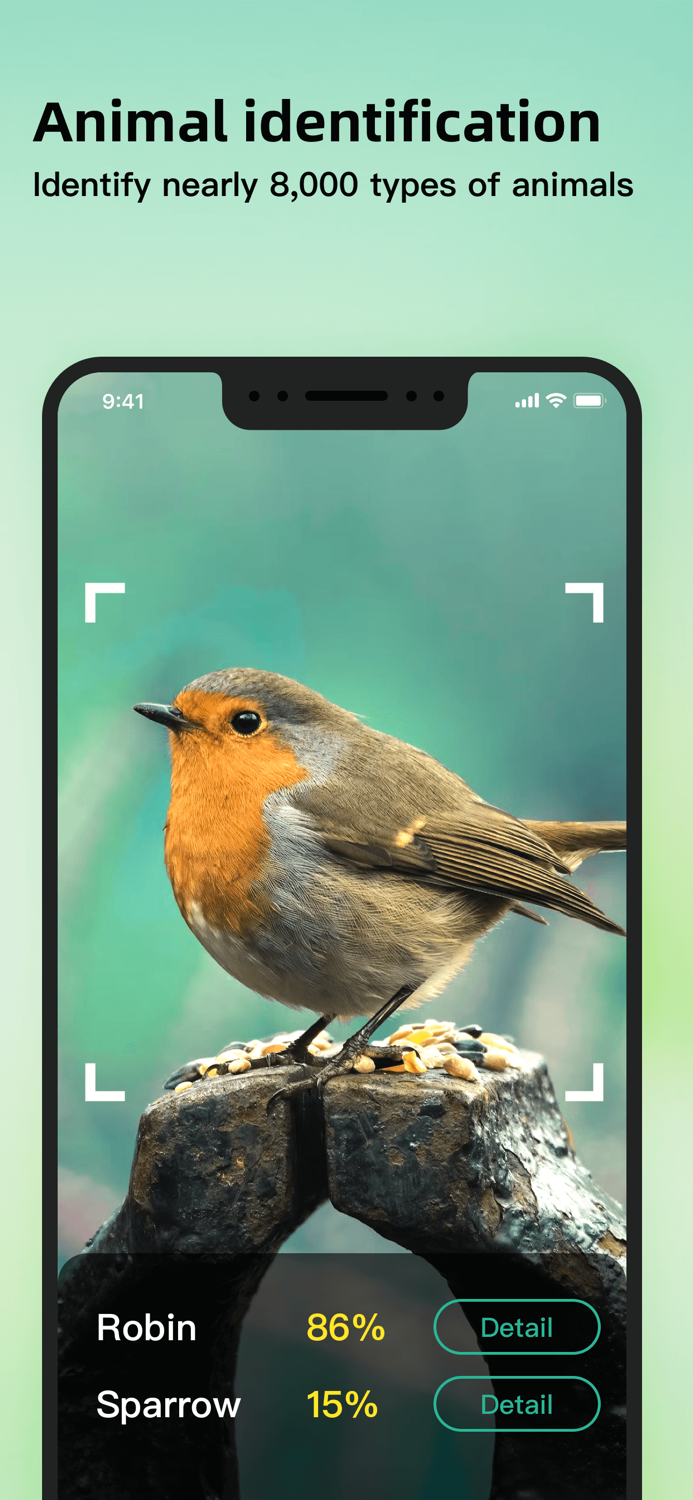 Allthings Identifier – Plant