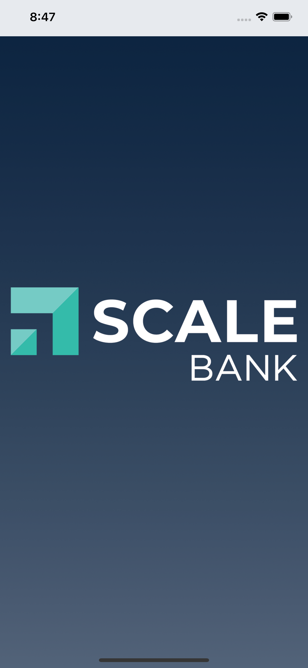 Scale Bank MN Business