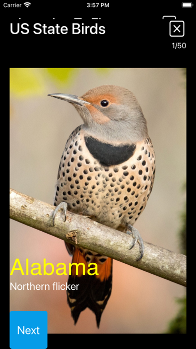 Birds of North America: Sounds Screenshot