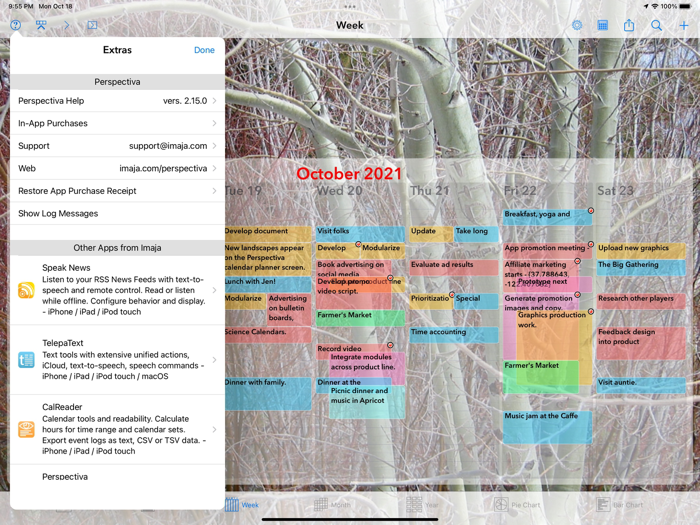 Perspectiva Calendars Charts