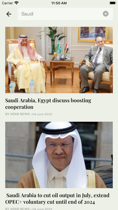 Arab News Screenshot