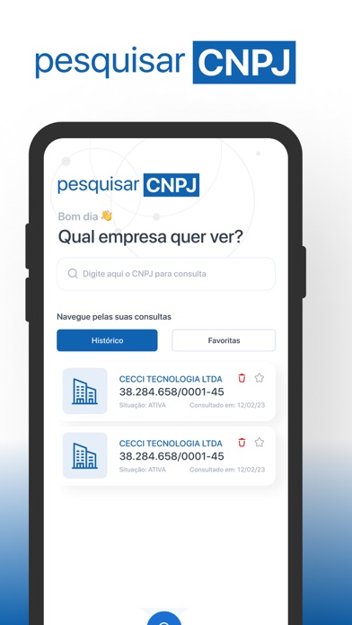 Consulta CNPJ: Situação Screenshot