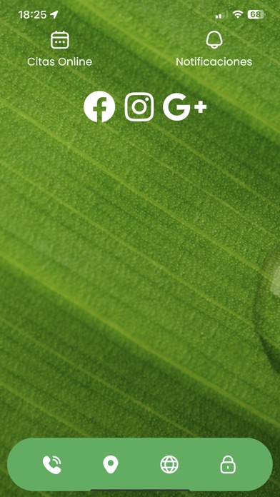 RitaGil Screenshot