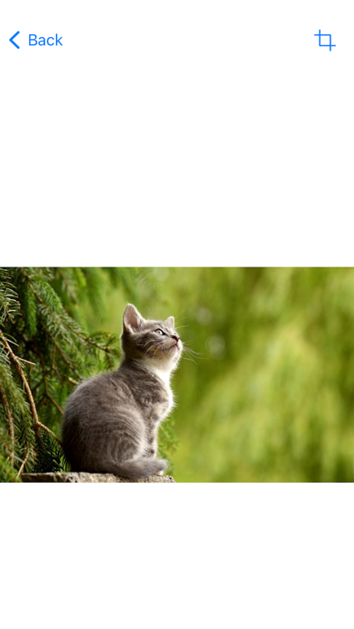 Screenshot #1 pour Image Search & Crop