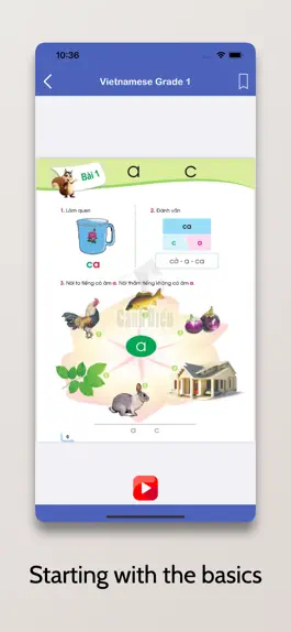 Game screenshot Learn Vietnamese - Beginner 1 apk