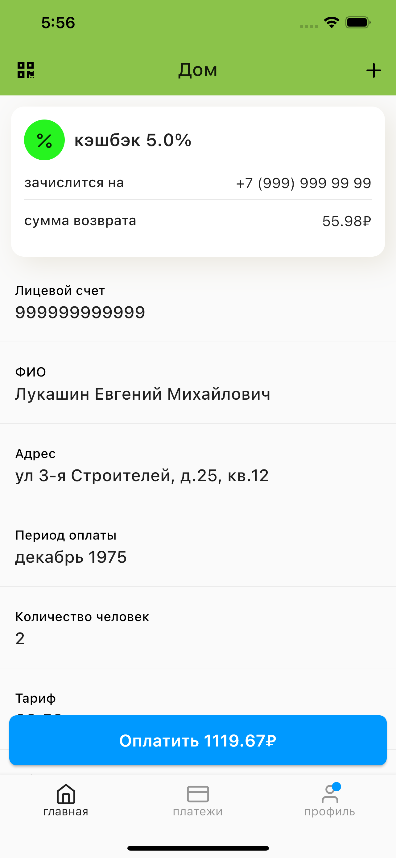 Экологистика