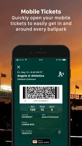 Game screenshot MLB Ballpark hack