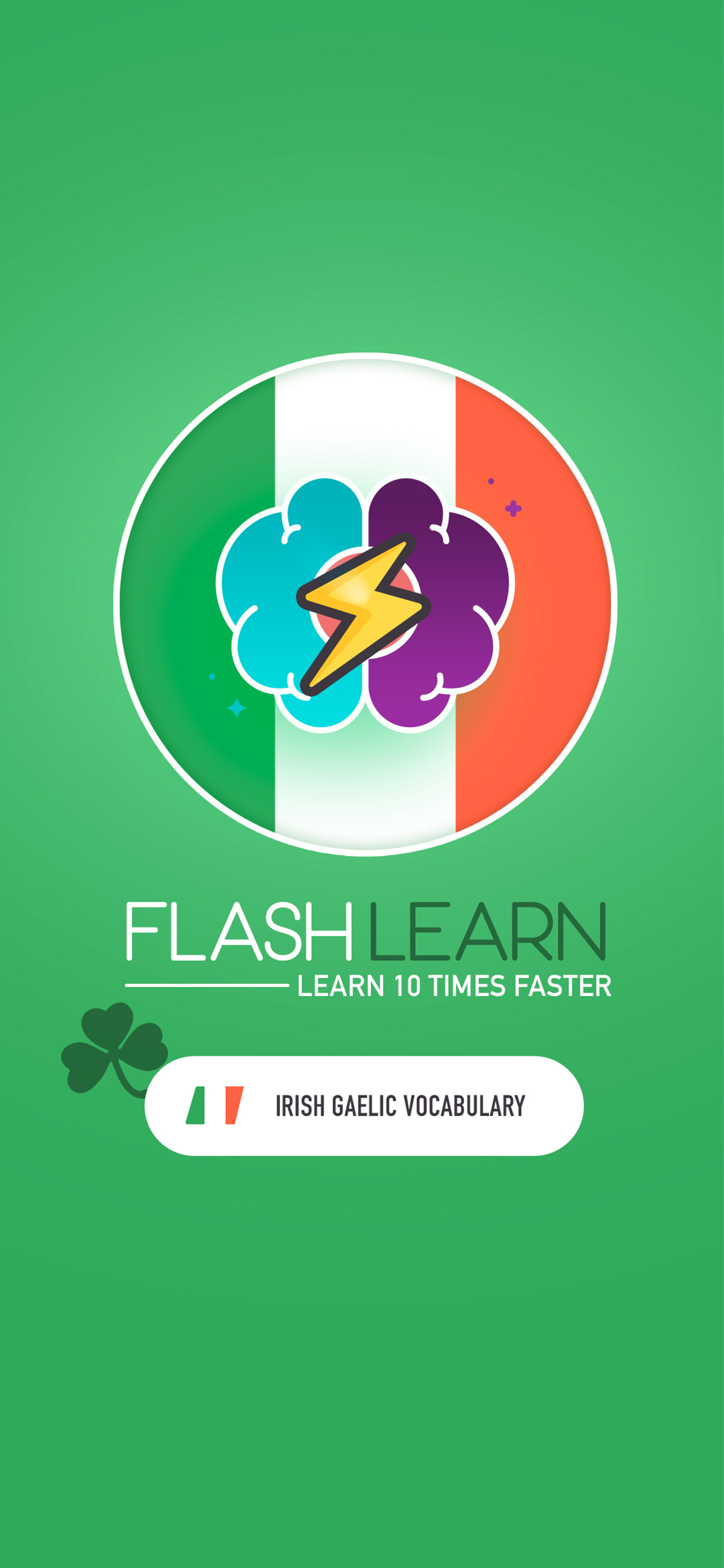 FlashLearn Irish Gaelic 2024