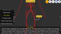 vascular system problems & solutions and troubleshooting guide - 2