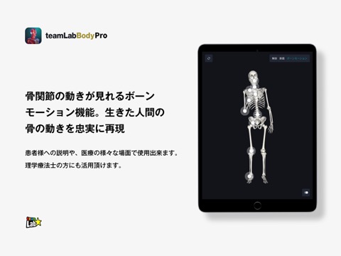 チームラボボディPro(プロ)人体の解剖 解剖学のおすすめ画像4