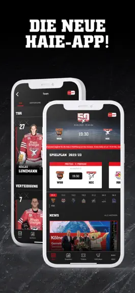 Game screenshot Kölner Haie mod apk