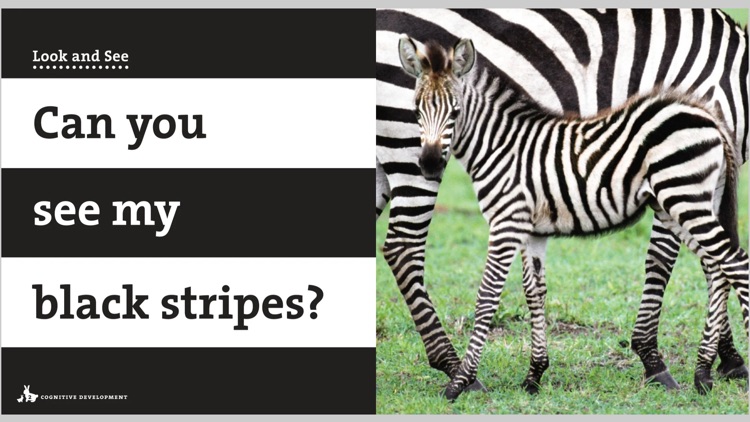 Ranger Rick Zoobies screenshot-5