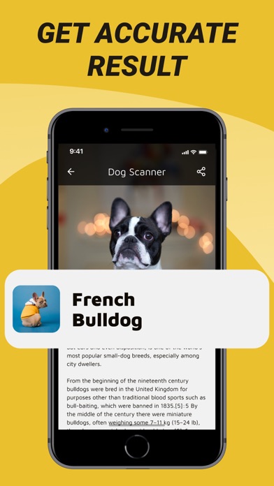 Dog Breed : Training & Care Screenshot
